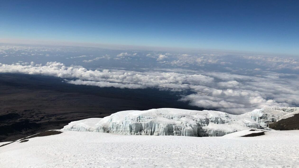 Kilimanjaro kuva lumiselta vuorelta